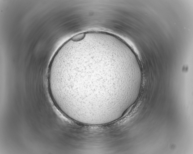 X0000093760903200711131146