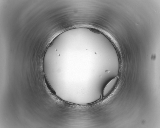 X0000093760905200711131146