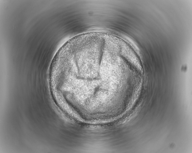 X0000093760907200711131146