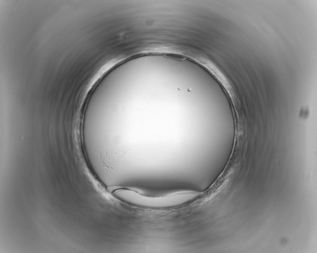 X0000093760909200711131146