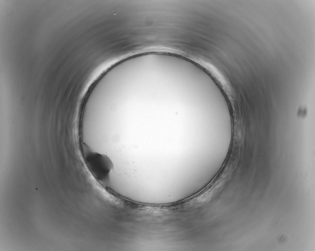 X0000093760910200711131146