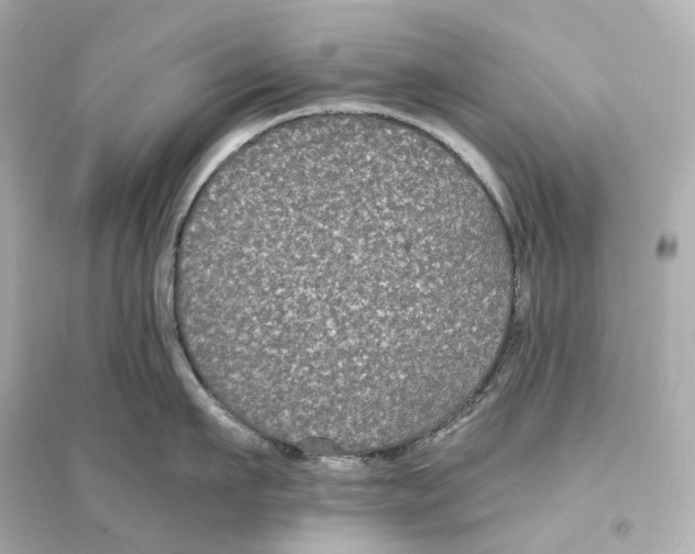 X0000093760911200711131146