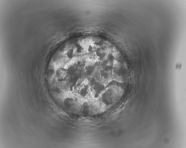 X0000093760913200711131145