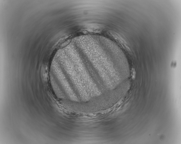 X0000093760915200711131145