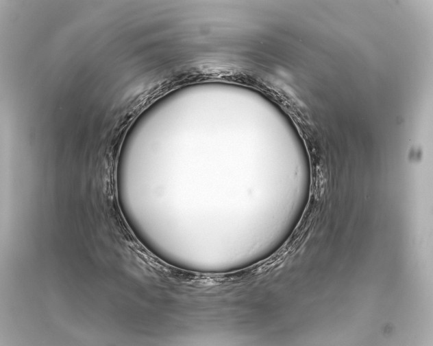 X0000093760917200711131145