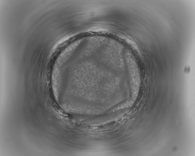 X0000093760920200711131145