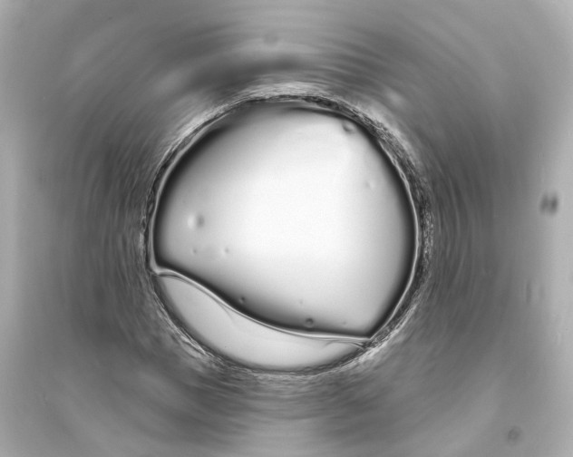 X0000093760921200711131145