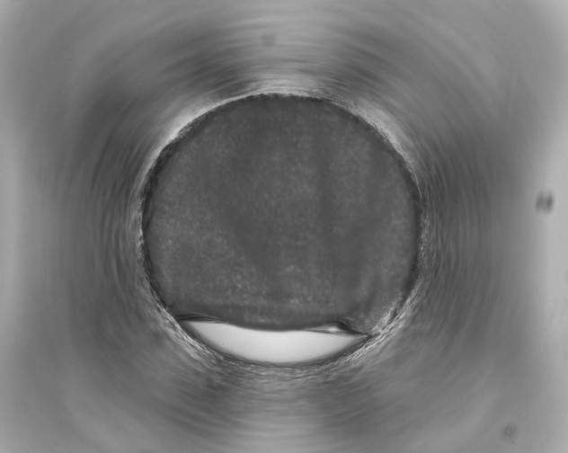 X0000093760923200711131145