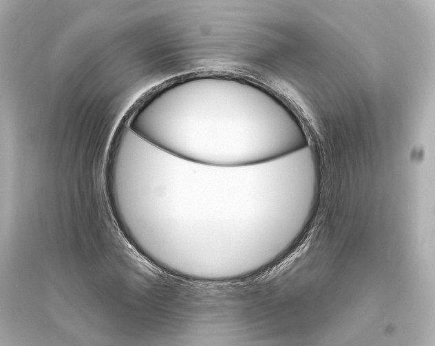 X0000093760924200711131145