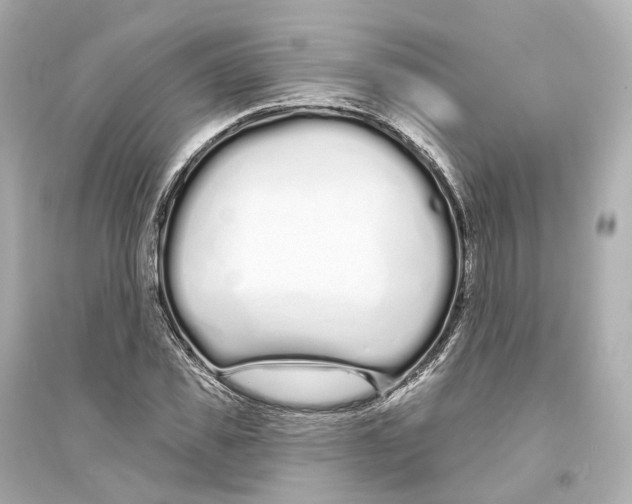 X0000093760925200711131145