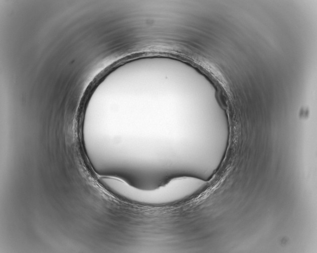 X0000093760928200711131145