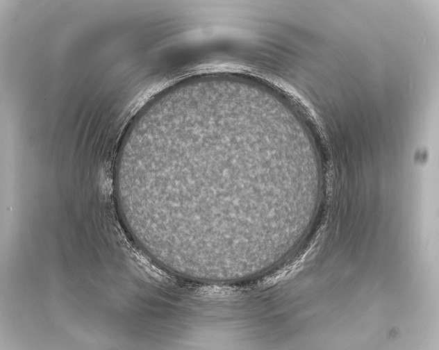 X0000093760929200711131145