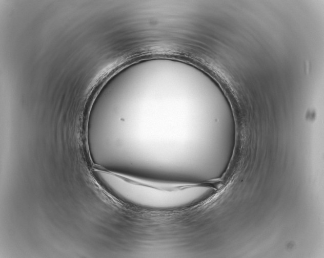 X0000093760930200711131145