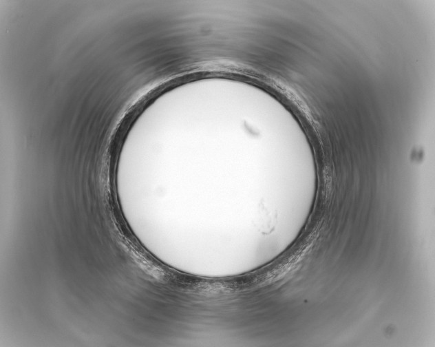 X0000093760931200711131145