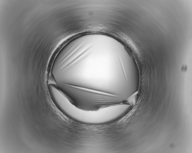 X0000093760932200711131145