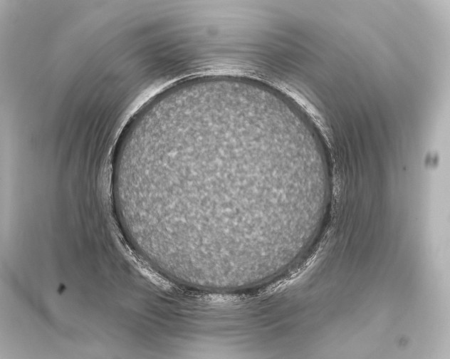 X0000093760933200711131145