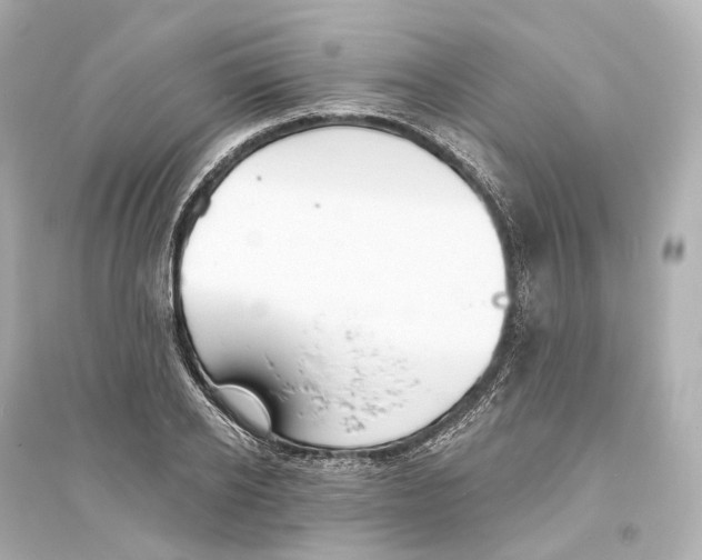 X0000093760934200711131145