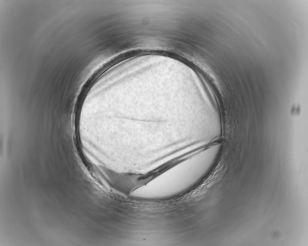 X0000093760935200711131145