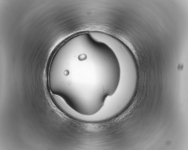 X0000093760936200711131145