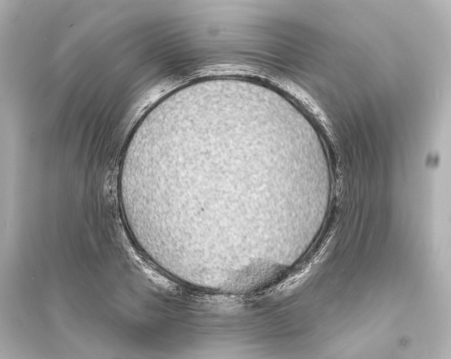 X0000093760937200711131145