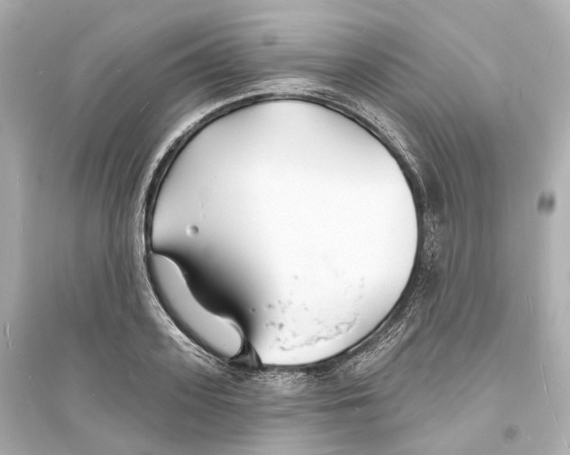 X0000093760939200711131145