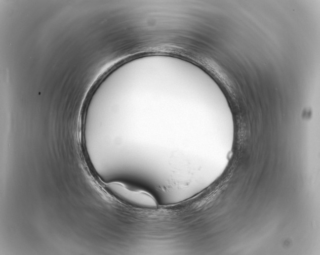 X0000093760940200711131145