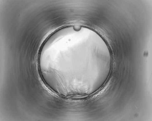 X0000093760941200711131145