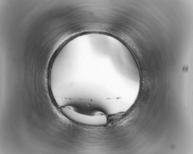 X0000093760942200711131145