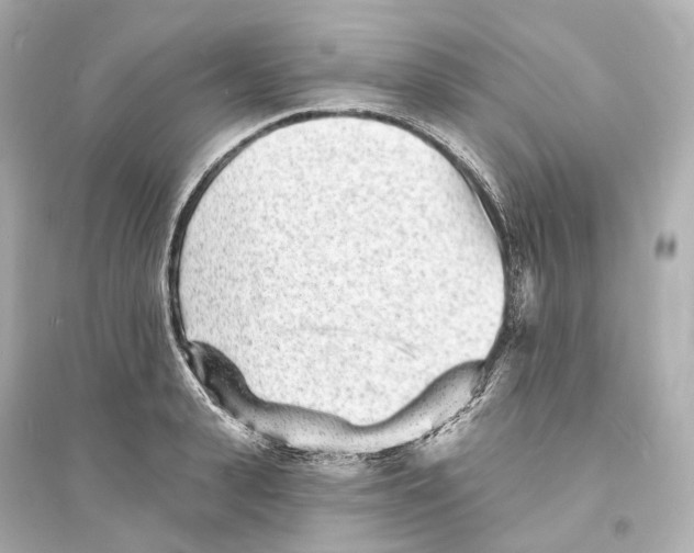 X0000093760943200711131145