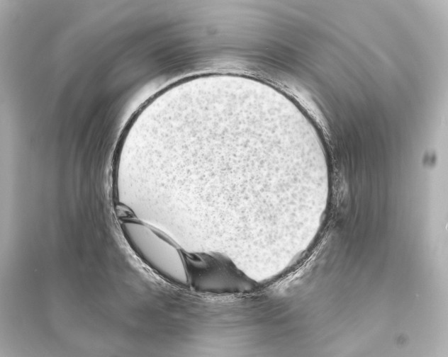 X0000093760944200711131145