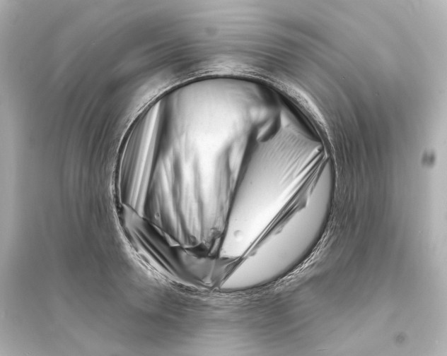 X0000093760946200711131145