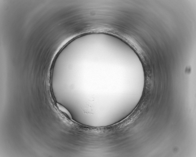 X0000093760948200711131145