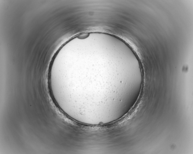 X0000093760949200711131145