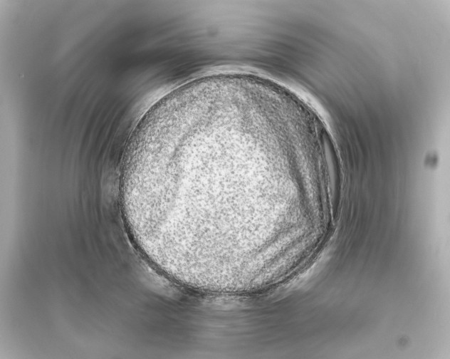 X0000093760953200711131145