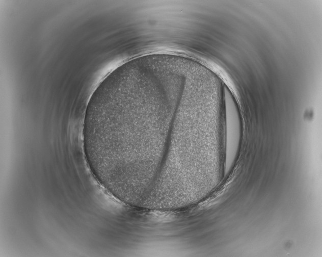 X0000093760954200711131145