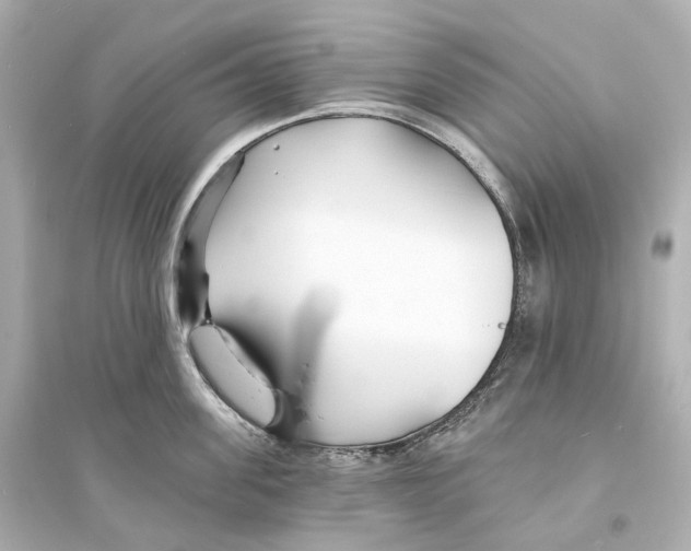 X0000093760955200711131145