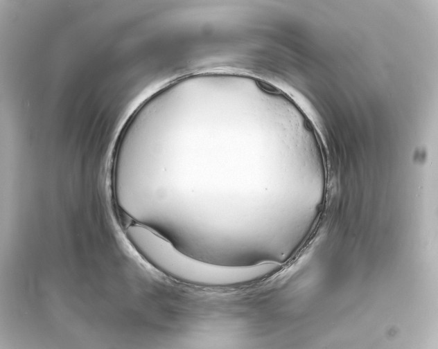 X0000093760957200711131145