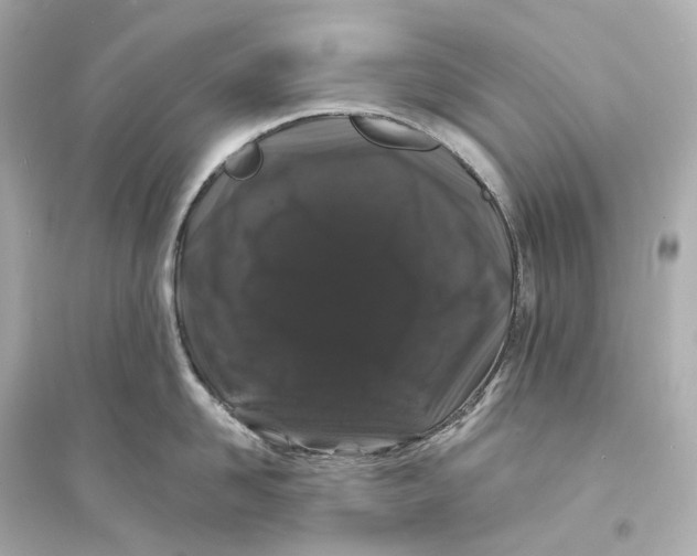 X0000093760958200711131145