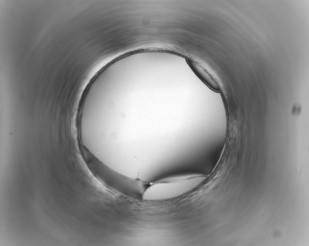 X0000093760959200711131146