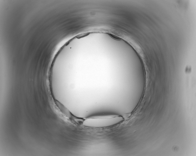 X0000093760960200711131146