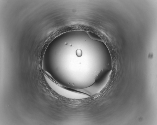 X0000093760965200711131145