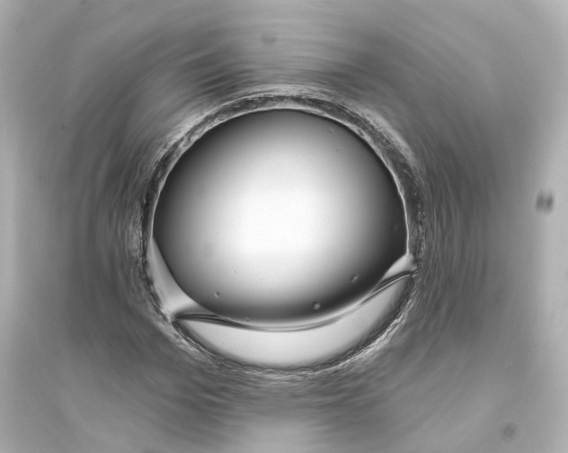 X0000093760969200711131145