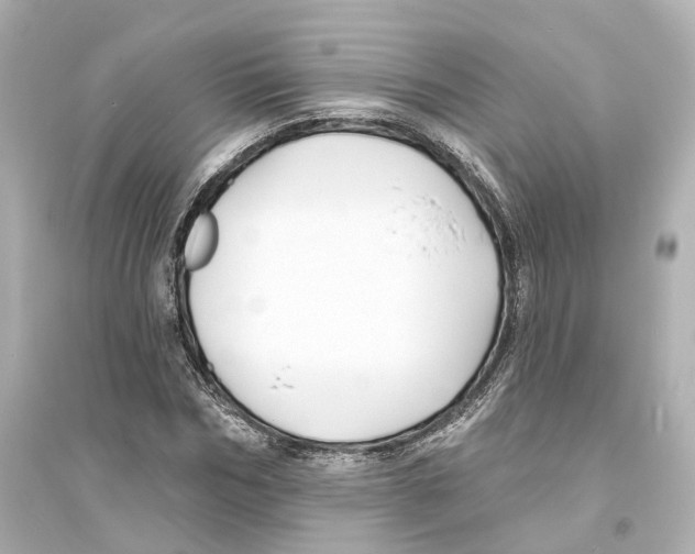 X0000093760970200711131145