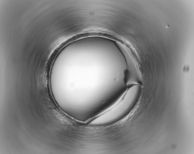 X0000093760973200711131145