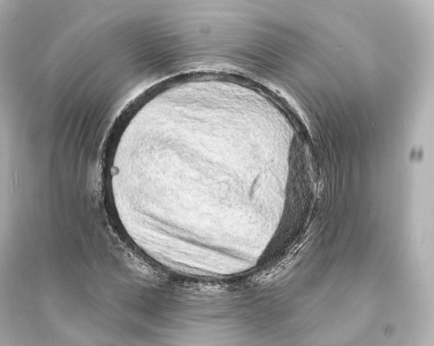 X0000093760975200711131144