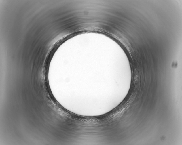 X0000093760979200711131144