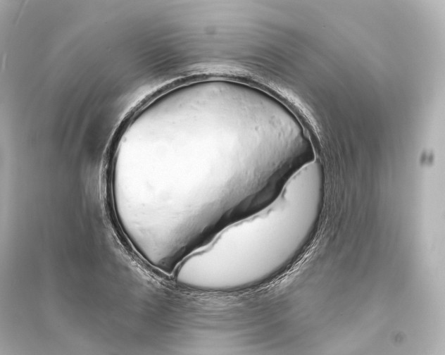 X0000093760983200711131144