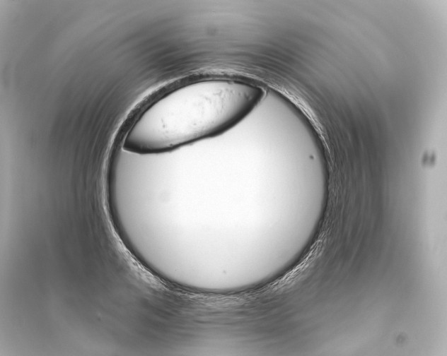 X0000093760984200711131144