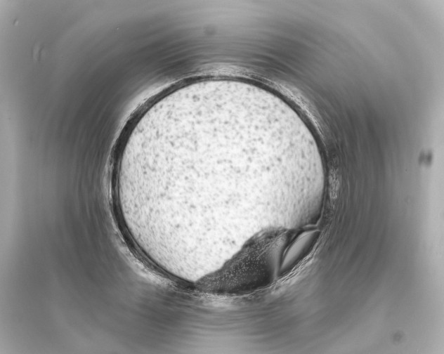 X0000093760987200711131144