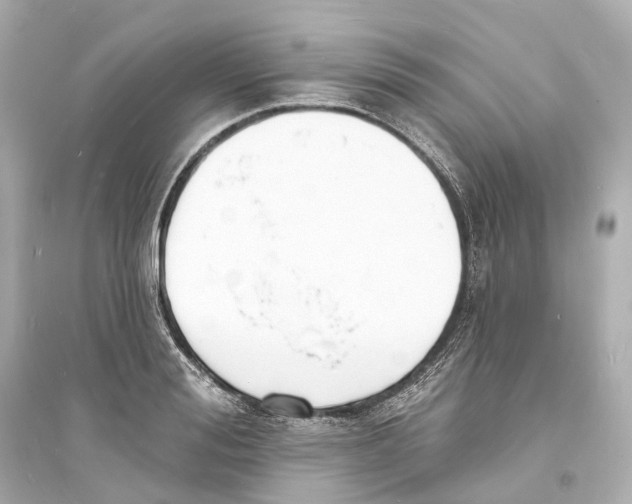 X0000093760988200711131144